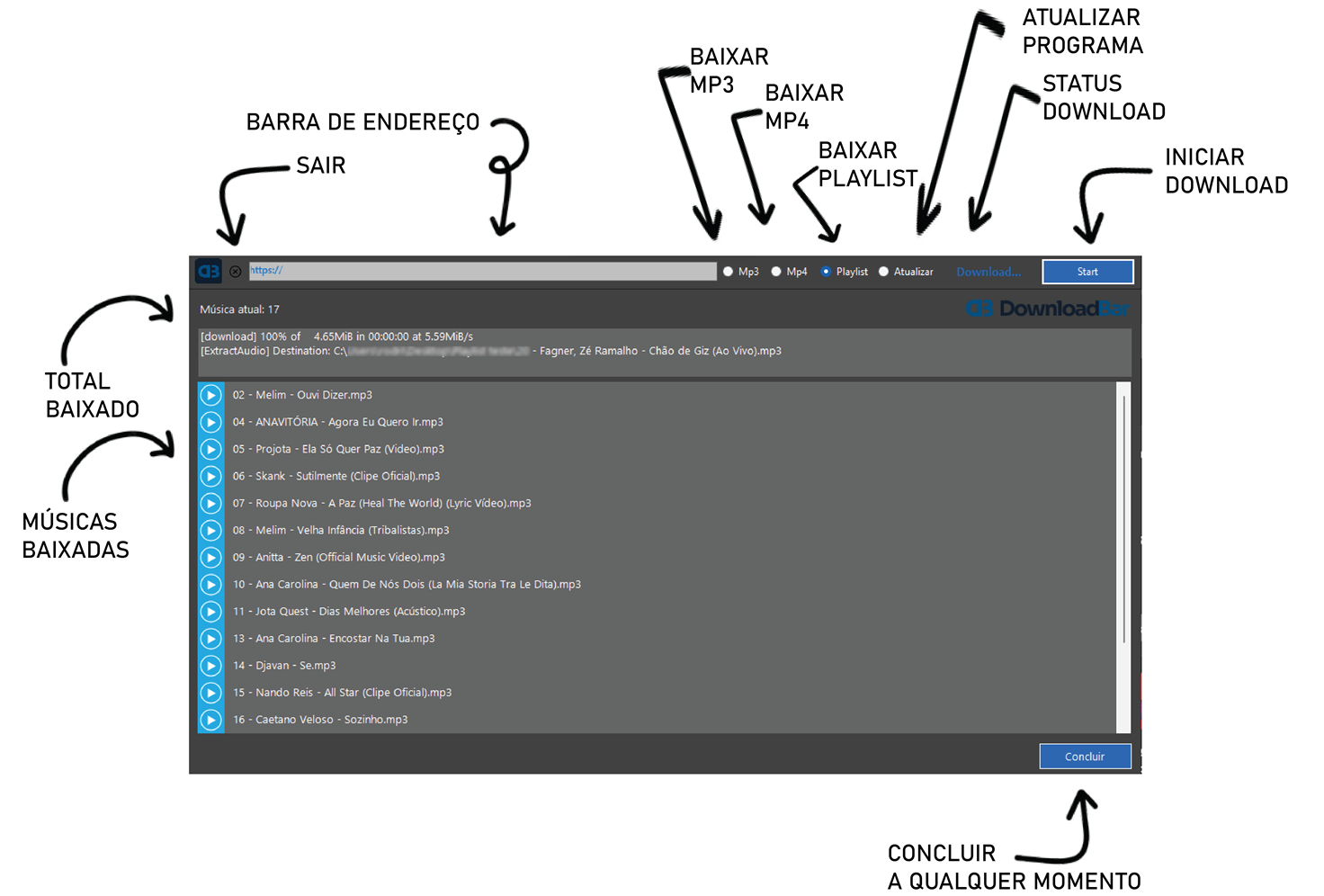 DownloadBar - Interface do programa